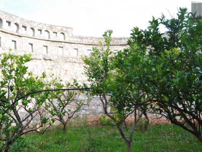 Il piccolo Colosseo � stato ultimato nel 1982 e al suo interno si trova un agrumeto con alberi di limoni, arance e mandarini